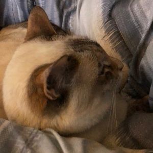 Meet your Posher, Robyn